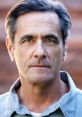 Robin Thomas Actor - Kalabar/Halloweentown. Type your text to hear it in the voice of Robin Thomas