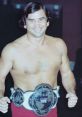 Gerald (Jerry) Brisco Professional Wrestler. Type your text to hear it in the voice of Gerald (Jerry) Brisco