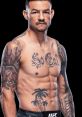 Cub Swanson Type your text to hear it in the voice of Cub Swanson. The first that greets you when you interact with the Cub