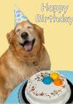 Happy Birthday Animals Type your text to hear it in the voice of Happy Birthday Animals. As the Happy Birthday Animals