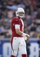 Carson Palmer Former NFL Quarterback . Type your text to hear it in the voice of Carson Palmer