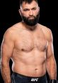 ANDREI ARLOVSKI Type your text to hear it in the voice of ANDREI ARLOVSKI. The first that is related to Andrei Arlovski