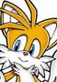 Tails from Sonic Heroes, featuring his signature orange fur and happy expression, showcases his playful personality.