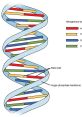 DNA Type your text to hear it in the voice of DNA. The of DNA Computer AI are a symphony of data being processed and