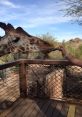 Giraffes at Phoenix Zoo Animals - Phoenix Zoo. Type your text to hear it in the voice of Giraffes at Phoenix Zoo