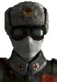 Chinese soldier character from Fallout 3, featuring distinctive uniform, goggles, and military insignia.