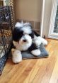 Bear The Sheepadoodle Type your text to hear it in the voice of Bear The Sheepadoodle. Bear the Sheepadoodle Computer AI