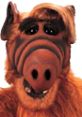 Close-up of ALF, the beloved alien character from the 1980s sitcom, showcasing his distinctive furry appearance and playful expression.