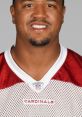 Michael Floyd Former NFL - Arizona Cardinals | New England Patriots . Type your text to hear it in the voice of Michael