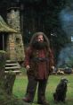 Rubeus Hagrid Type your text to hear it in the voice of Rubeus Hagrid. The that emanate from Rubeus Hagrid Computer AI