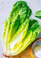 Romaine Lettuce Type your text to hear it in the voice of Romaine Lettuce. The first that resonates in the surroundings