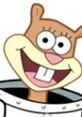 Cheerful Sandy Cheeks from SpongeBob SquarePants, wearing her space suit and showcasing her iconic smile.