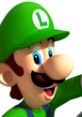 Cheerful Luigi wearing his iconic green hat, representing Mario Kart Wii’s beloved character from the popular racing game.