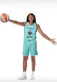 Megan Walker WNBA - Phoenix Mercury. Type your text to hear it in the voice of Megan Walker