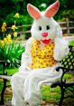 THE Easter Bunny The Funny Easter Bunny. Type your text to hear it in the voice of THE Easter Bunny