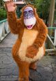 King Louie Type your text to hear it in the voice of King Louie. The first thing you notice about King Louie Computer AI