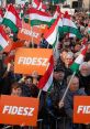 Fidesz Fidesz 