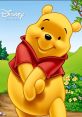 Winnie Type your text to hear it in the voice of Winnie. The soothing voice of Winnie Computer AI fills the room with a