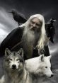 Odin wolf Type your text to hear it in the voice of Odin wolf. The Odin wolf Computer AI emits a symphony of as it