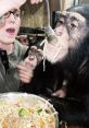 Angada Chimp Chimpanzee . Type your text to hear it in the voice of Angada Chimp