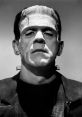 Frankenstein's Monster Type your text to hear it in the voice of Frankenstein's Monster. The that emanate from