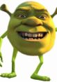 Cheerful green character with a big smile, embodying humor and charm from the world of animated films. Perfect for Dank memes!