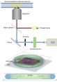 Teflon Mula Type your text to hear it in the voice of Teflon Mula. The Teflon Mula Computer AI emits a symphony of