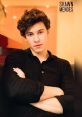 Levy Sathler as Shawn Mendes Type your text to hear it in the voice of Levy Sathler as Shawn Mendes. The first that fills