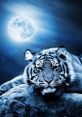 Tiger Moon Type your text to hear it in the voice of Tiger Moon. The Tiger Moon Computer AI emits a series of mechanical