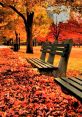 Autumn Type your text to hear it in the voice of Autumn. Autumn is a season that is characterized by a rich tapestry of 