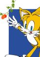 Tails Japanese (テイルス) Type your text and hear it in the voice of Tails Japanese (テイルス) by vegito1089.