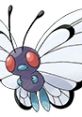 Butterfree from Pokémon Puzzle League, showcasing its vibrant colors and iconic butterfly wings. A beloved bug Pokémon.