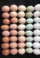 Egg Spectrum Type your text to hear it in the voice of Egg Spectrum. emanate from the Egg Spectrum Computer AI as it