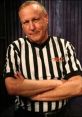 Earl Hebner American Referee. Type your text to hear it in the voice of Earl Hebner