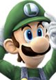 Luigi from Super Smash Bros. Brawl, wearing his iconic green hat and overalls, ready for action and adventure.