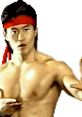 Liu Kang from Mortal Kombat II, showcasing martial arts moves with a red headband and a focused expression.