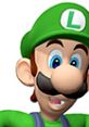 Luigi smiling excitedly, sporting his green hat and overalls from Mario Party 4, ready for fun and adventure.