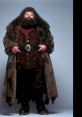 Rubeus Hagrid (PS1) Type your text to hear it in the voice of Rubeus Hagrid (PS1). The first related to Rubeus Hagrid