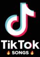 TikTok Songs 2024 Explore the ultimate TikTok for 2024, featuring a mix of viral hits, nostalgic classics, and hidden