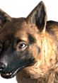 Close-up of a loyal dog companion, inspired by the canine character from Fallout 3, showcasing its keen expressions.