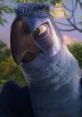 Eduardo (Rio 2) (Latin American Spanish) Type your text and hear it in the voice of Eduardo (Rio 2) (Latin American Spanish)