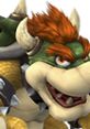 Close-up of Bowser from Super Smash Bros. Brawl, featuring his iconic spiked shell and fierce expression.