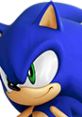 Sonic the Hedgehog showcasing his iconic blue spiky hair and vibrant green eyes from the Sonic Game 2006.