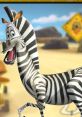 Marty The Zebra A zebra