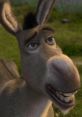 Donkey I like waffles!