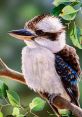 Vibrant portrait of a Laughing Kookaburra perched on a branch amidst lush green foliage, showcasing its striking plumage.