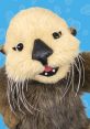 Elsie Otter Https://www.aquariumofpacific.org/pacificpals/meet_the_pals