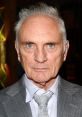 Terence Stamp Terence Henry Stamp (born 22 July 1938)[1][2] is an English actor. Known for his sophisticated villain