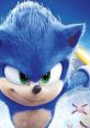 Sonic The Hedgehog Sonic The Hedgehog is an iconic video game franchise that has expanded its reach into various forms of