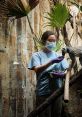 Zookeeper feeding a lemur in a lush indoor habitat, showcasing animal care and conservation efforts.